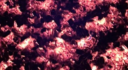 WhatsApp Image 2025-11-22 at 13.23.22